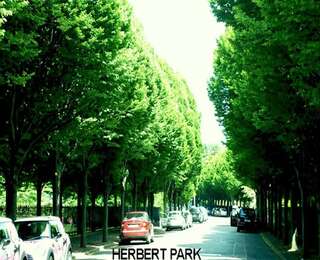 Гостевой дом Morehampton Townhouse Дублин Двухместный номер с 1 кроватью-14